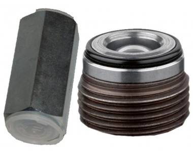 Check valves
